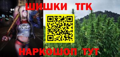 прущие грибы Краснодар