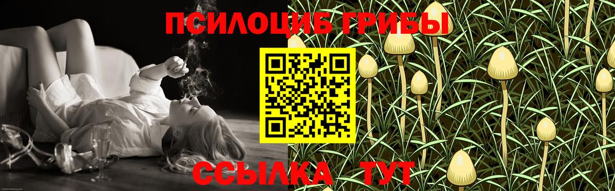 Галлюциногенные грибы GOLDEN TEACHER Кимовск