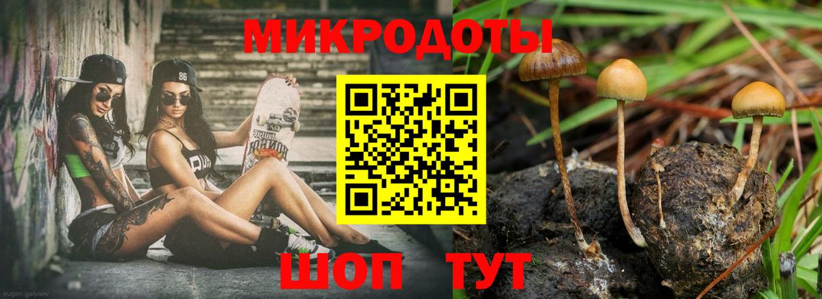Галлюциногенные грибы Psilocybine cubensis  Вход с VPN  Галлюциногенные грибы мицелий  Кимовск 